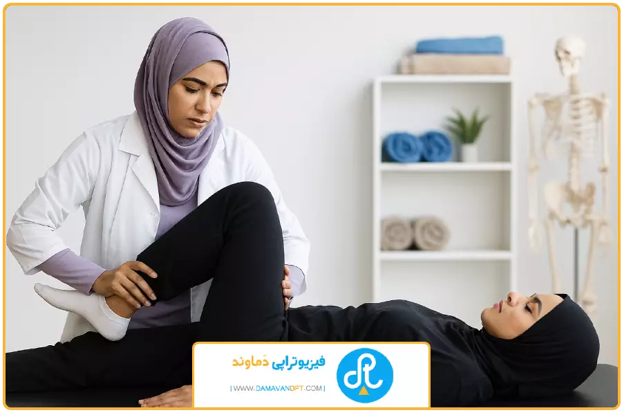 پروتکل جلسات | فیزیوتراپی لگن در شیراز