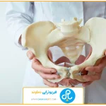 عکس شاخص | فیزیوتراپی لگن در شیراز