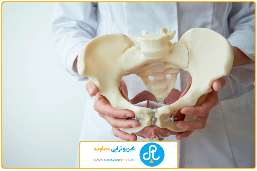عکس شاخص | فیزیوتراپی لگن در شیراز